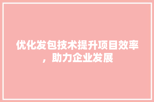 优化发包技术提升项目效率，助力企业发展