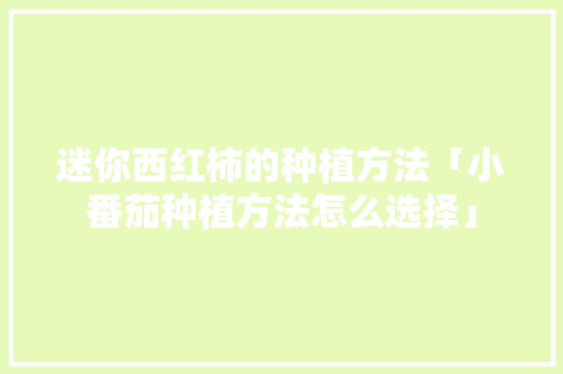 迷你西红柿的种植方法「小番茄种植方法怎么选择」 迷你西红柿的种植方法「小番茄种植方法怎么选择」 种植技巧