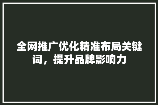全网推广优化精准布局关键词，提升品牌影响力