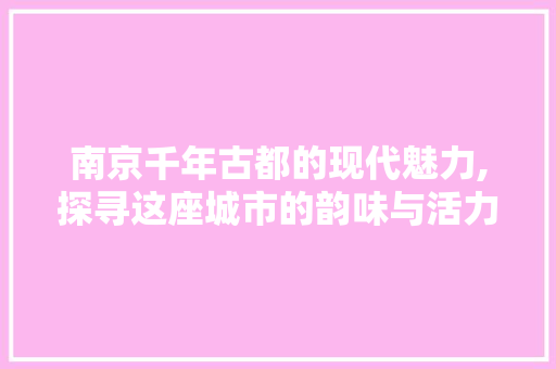 南京千年古都的现代魅力,探寻这座城市的韵味与活力