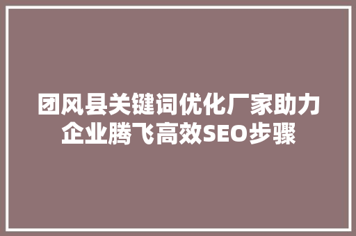 团风县关键词优化厂家助力企业腾飞高效SEO步骤