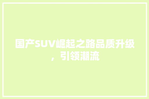 国产SUV崛起之路品质升级，引领潮流