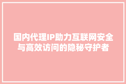国内代理IP助力互联网安全与高效访问的隐秘守护者