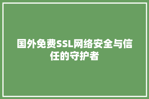 国外免费SSL网络安全与信任的守护者