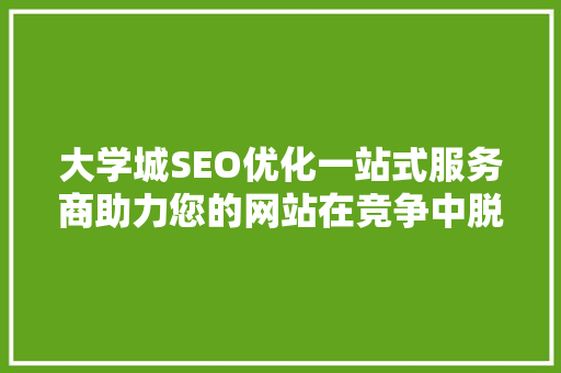 大学城SEO优化一站式服务商助力您的网站在竞争中脱颖而出