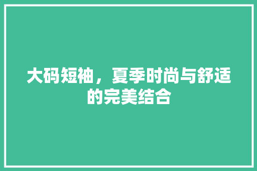 大码短袖，夏季时尚与舒适的完美结合