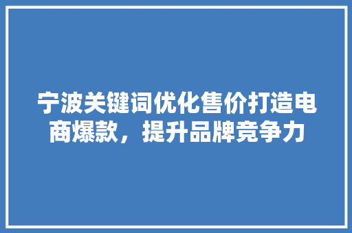 宁波关键词优化售价打造电商爆款，提升品牌竞争力