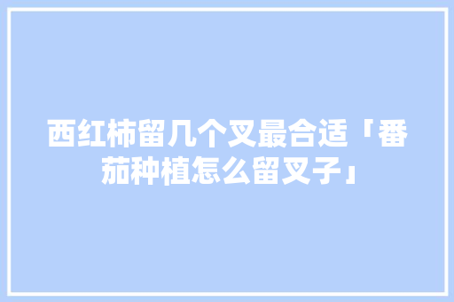 西红柿留几个叉最合适「番茄种植怎么留叉子」 西红柿留几个叉最合适「番茄种植怎么留叉子」 农业常识