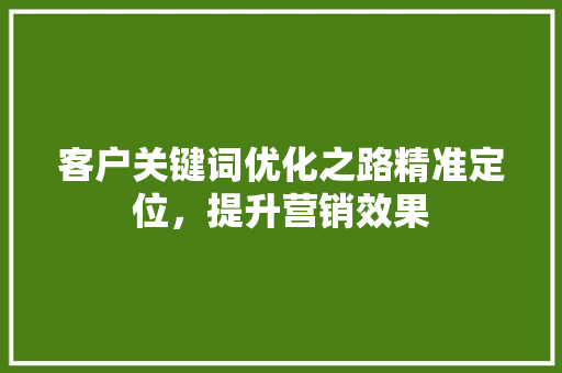 客户关键词优化之路精准定位，提升营销效果 种植技巧