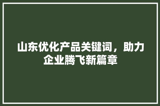 山东优化产品关键词，助力企业腾飞新篇章
