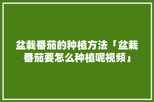 盆栽番茄的种植方法「盆栽番茄要怎么种植呢视频」 盆栽番茄的种植方法「盆栽番茄要怎么种植呢视频」 农业常识