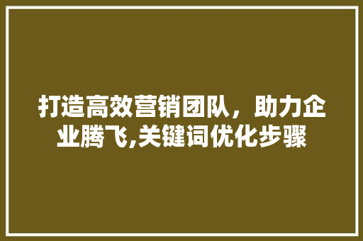 打造高效营销团队，助力企业腾飞,关键词优化步骤