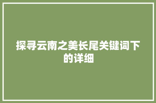 探寻云南之美长尾关键词下的详细