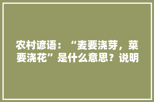 农村谚语：“麦要浇芽，菜要浇花”是什么意思？说明了什么道理「种蔬菜的谚语」 农村谚语：“麦要浇芽，菜要浇花”是什么意思？说明了什么道理「种蔬菜的谚语」 番茄种植技巧