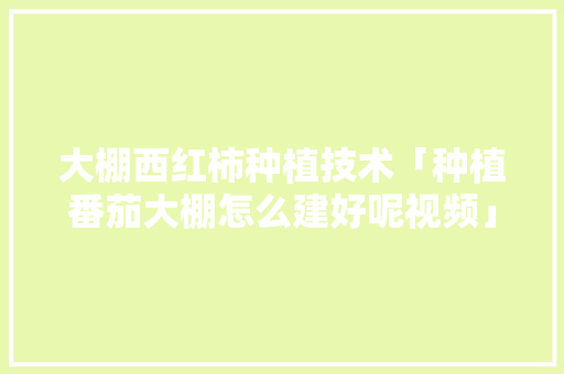 大棚西红柿种植技术「种植番茄大棚怎么建好呢视频」 大棚西红柿种植技术「种植番茄大棚怎么建好呢视频」 植物种类