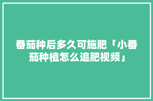 番茄种后多久可施肥「小番茄种植怎么追肥视频」 番茄种后多久可施肥「小番茄种植怎么追肥视频」 花朵知识