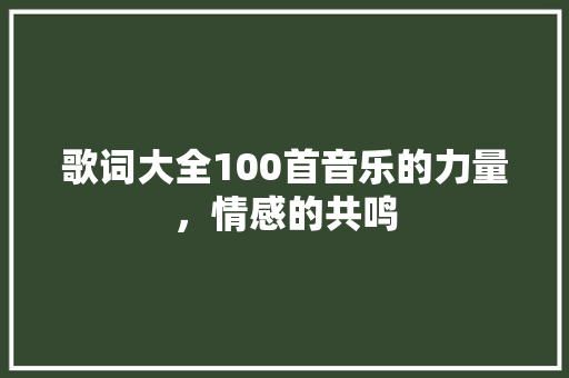 歌词大全100首音乐的力量，情感的共鸣