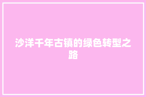 沙洋千年古镇的绿色转型之路
