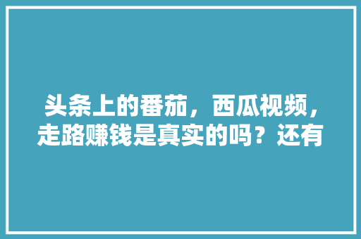 头条上的番茄，西瓜视频，走路赚钱是真实的吗？还有拼多多「小番茄幼苗怎么种植视频教程」 头条上的番茄，西瓜视频，走路赚钱是真实的吗？还有拼多多「小番茄幼苗怎么种植视频教程」 种植技巧