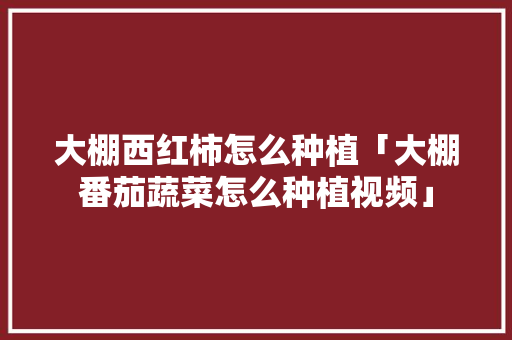 大棚西红柿怎么种植「大棚番茄蔬菜怎么种植视频」 大棚西红柿怎么种植「大棚番茄蔬菜怎么种植视频」 番茄病虫害防治