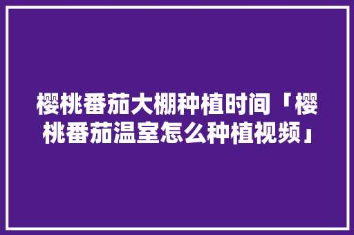 樱桃番茄大棚种植时间「樱桃番茄温室怎么种植视频」 樱桃番茄大棚种植时间「樱桃番茄温室怎么种植视频」 植物种类