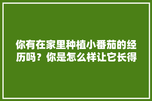 你有在家里种植小番茄的经历吗？你是怎么样让它长得更好的「室内小番茄苗怎么种植视频」 你有在家里种植小番茄的经历吗？你是怎么样让它长得更好的「室内小番茄苗怎么种植视频」 种植技巧