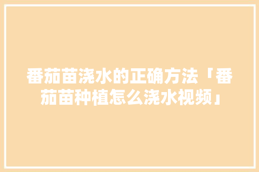 番茄苗浇水的正确方法「番茄苗种植怎么浇水视频」 番茄苗浇水的正确方法「番茄苗种植怎么浇水视频」 农业常识