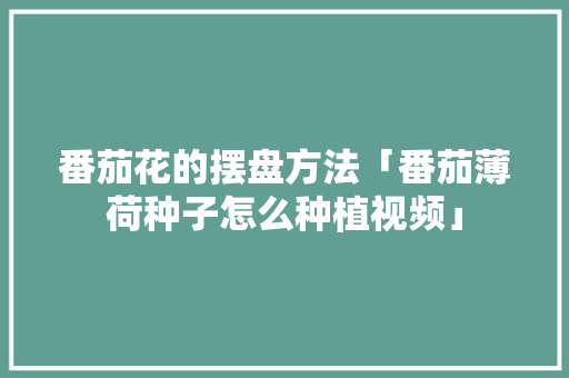 番茄花的摆盘方法「番茄薄荷种子怎么种植视频」 番茄花的摆盘方法「番茄薄荷种子怎么种植视频」 植物种类