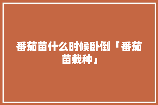 番茄苗什么时候卧倒「番茄苗栽种」 番茄苗什么时候卧倒「番茄苗栽种」 农业常识