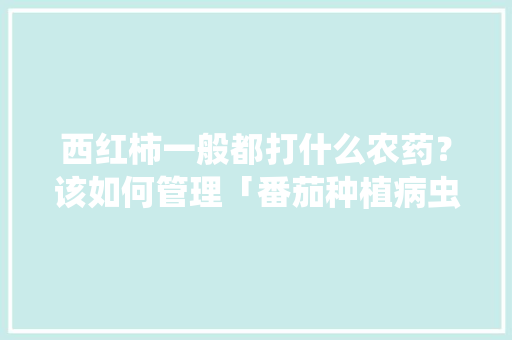 西红柿一般都打什么农药？该如何管理「番茄种植病虫怎么治疗」