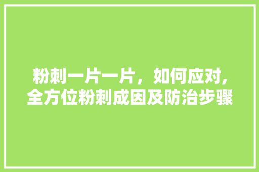 粉刺一片一片，如何应对,全方位粉刺成因及防治步骤