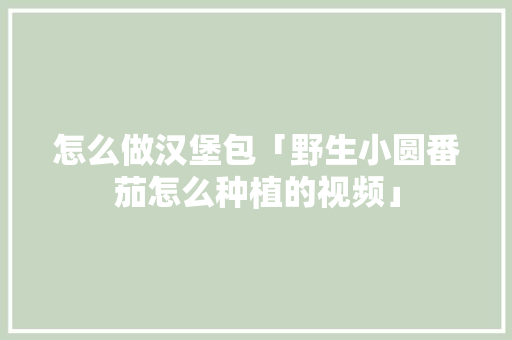 怎么做汉堡包「野生小圆番茄怎么种植的视频」 怎么做汉堡包「野生小圆番茄怎么种植的视频」 植物种类