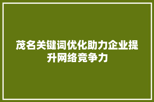 茂名关键词优化助力企业提升网络竞争力