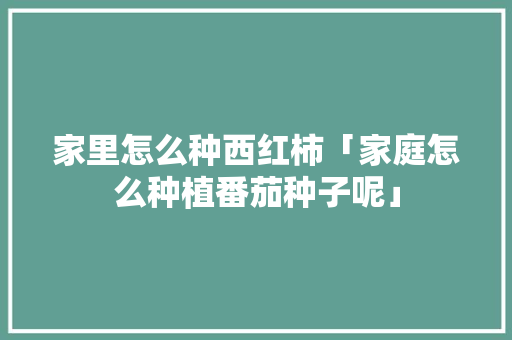 家里怎么种西红柿「家庭怎么种植番茄种子呢」 家里怎么种西红柿「家庭怎么种植番茄种子呢」 农业常识