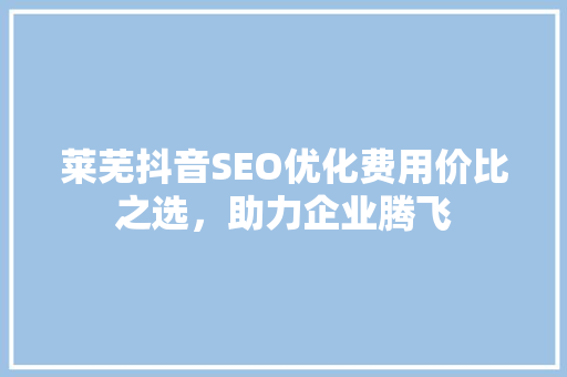 莱芜抖音SEO优化费用价比之选，助力企业腾飞