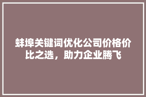 蚌埠关键词优化公司价格价比之选，助力企业腾飞