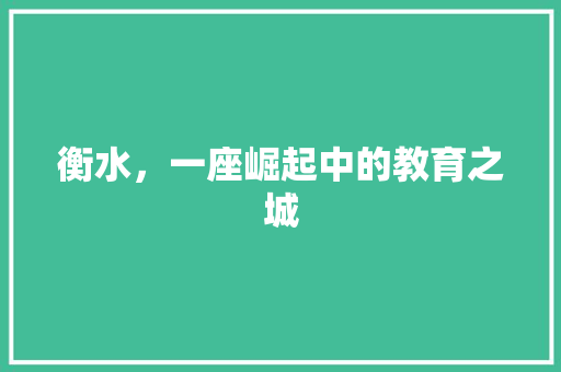 衡水，一座崛起中的教育之城