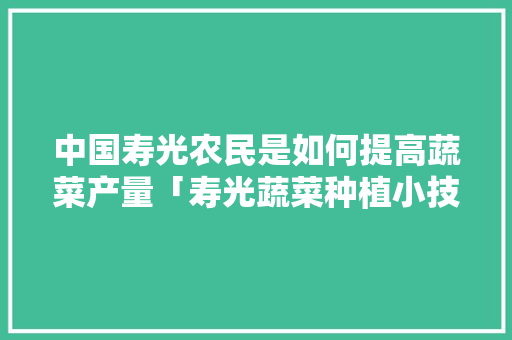 中国寿光农民是如何提高蔬菜产量「寿光蔬菜种植小技巧和方法」