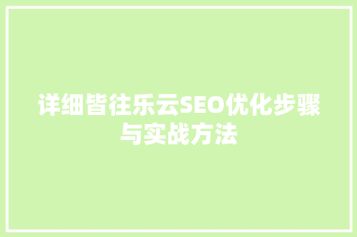 详细皆往乐云SEO优化步骤与实战方法