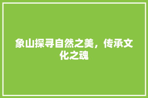象山探寻自然之美，传承文化之魂