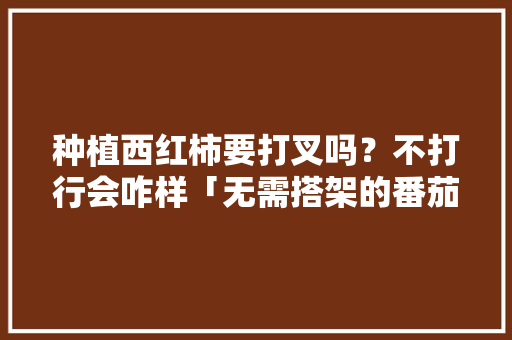 种植西红柿要打叉吗？不打行会咋样「无需搭架的番茄怎么种植视频」 种植西红柿要打叉吗？不打行会咋样「无需搭架的番茄怎么种植视频」 土壤施肥