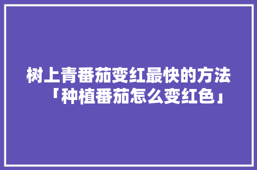 树上青番茄变红最快的方法「种植番茄怎么变红色」 树上青番茄变红最快的方法「种植番茄怎么变红色」 植物种类