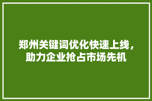 郑州关键词优化快速上线，助力企业抢占市场先机