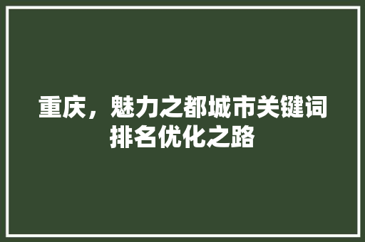 重庆，魅力之都城市关键词排名优化之路
