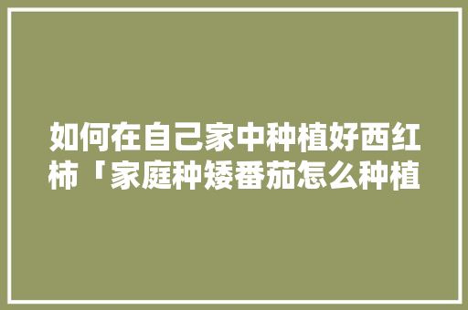 如何在自己家中种植好西红柿「家庭种矮番茄怎么种植视频」 如何在自己家中种植好西红柿「家庭种矮番茄怎么种植视频」 种植技巧