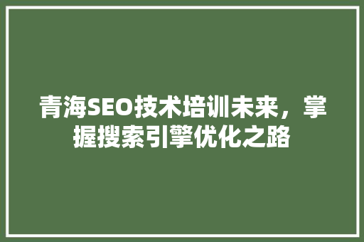 青海SEO技术培训未来，掌握搜索引擎优化之路