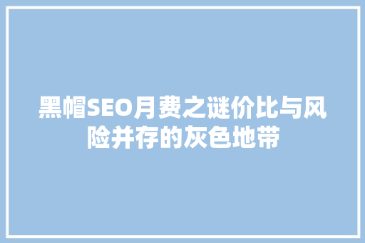 黑帽SEO月费之谜价比与风险并存的灰色地带