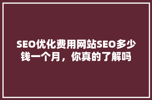 SEO优化费用网站SEO多少钱一个月，你真的了解吗