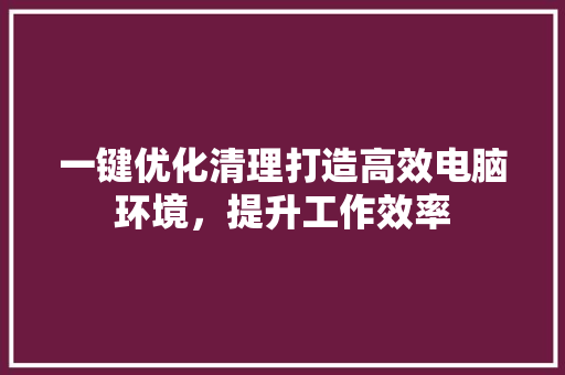 一键优化清理打造高效电脑环境，提升工作效率