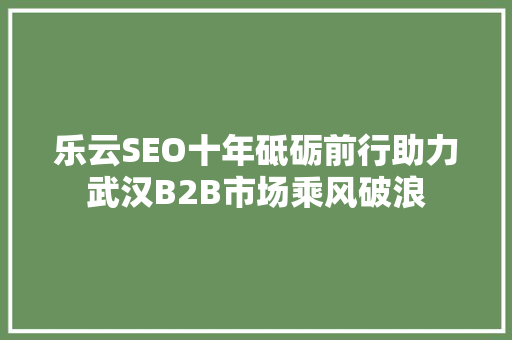 乐云SEO十年砥砺前行助力武汉B2B市场乘风破浪
